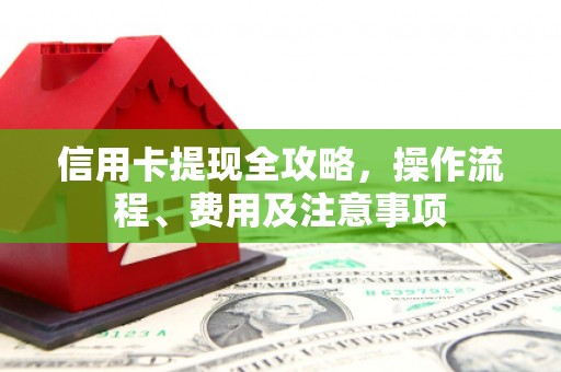 湖西信用卡提现全攻略，操作流程、费用及注意事项