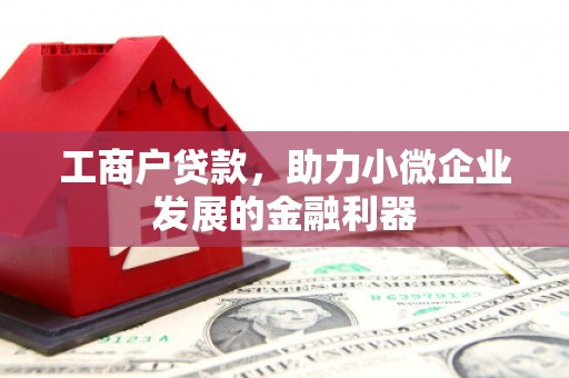 湖西工商户贷款，助力小微企业发展的金融利器