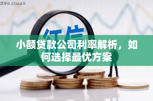 湖西小额贷款公司利率解析，如何选择最优方案