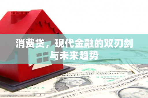 湖西消费贷，现代金融的双刃剑与未来趋势