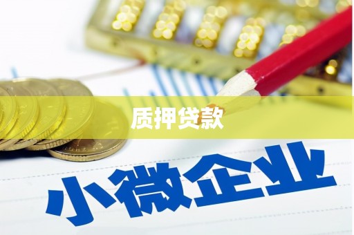 湖西质押贷款