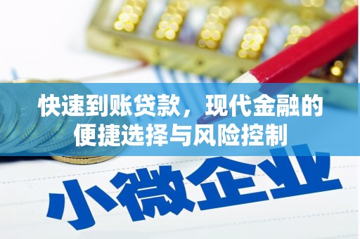湖西快速到账贷款，现代金融的便捷选择与风险控制