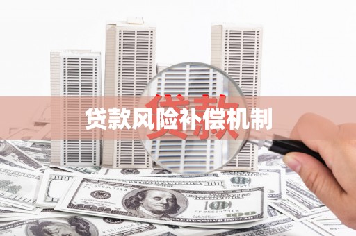 湖西贷款风险补偿机制