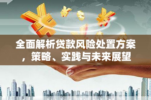 湖西全面解析贷款风险处置方案，策略、实践与未来展望