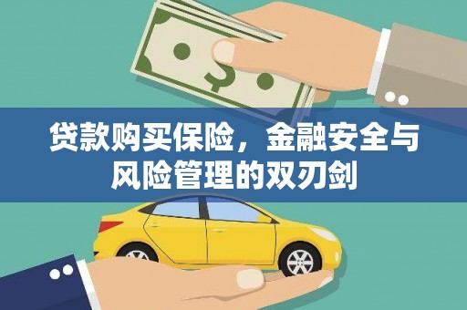 湖西贷款购买保险，金融安全与风险管理的双刃剑