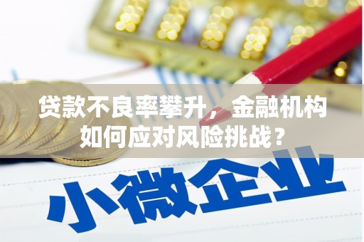 湖西贷款不良率攀升，金融机构如何应对风险挑战？