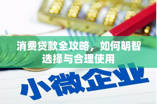 湖西消费贷款全攻略，如何明智选择与合理使用