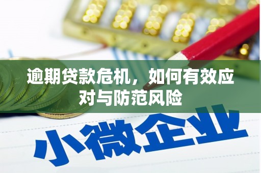 湖西逾期贷款危机，如何有效应对与防范风险