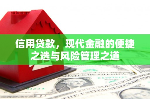 湖西信用贷款，现代金融的便捷之选与风险管理之道