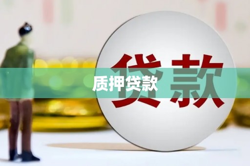 湖西质押贷款