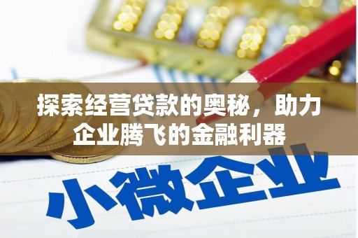 湖西探索经营贷款的奥秘，助力企业腾飞的金融利器