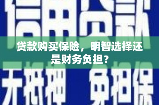 湖西贷款购买保险，明智选择还是财务负担？