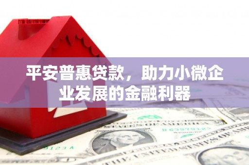 湖西平安普惠贷款，助力小微企业发展的金融利器