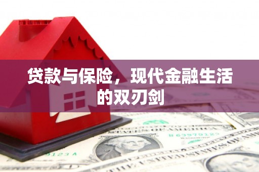 湖西贷款与保险，现代金融生活的双刃剑