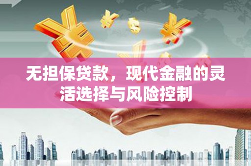 湖西无担保贷款，现代金融的灵活选择与风险控制