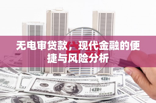湖西无电审贷款，现代金融的便捷与风险分析