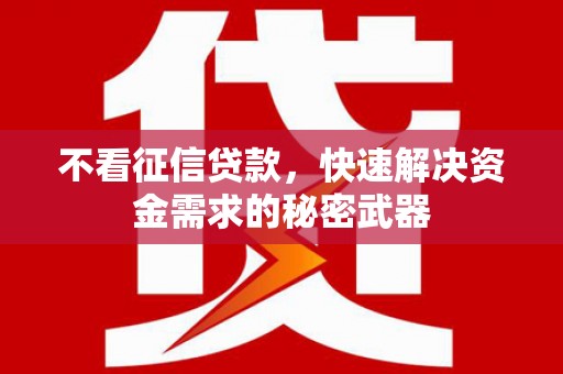 湖西不看征信贷款，快速解决资金需求的秘密武器