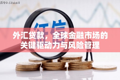 湖西外汇贷款，全球金融市场的关键驱动力与风险管理