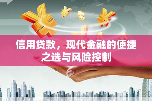 湖西信用贷款，现代金融的便捷之选与风险控制