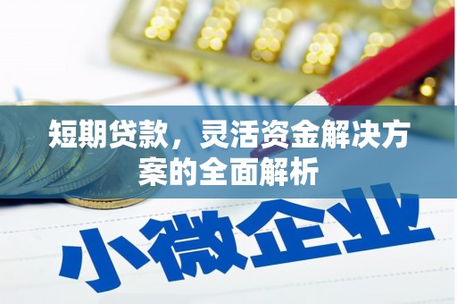 湖西短期贷款，灵活资金解决方案的全面解析