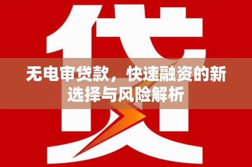 湖西无电审贷款，快速融资的新选择与风险解析