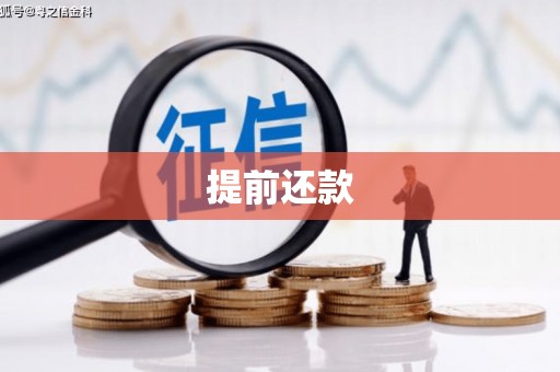 湖西提前还款