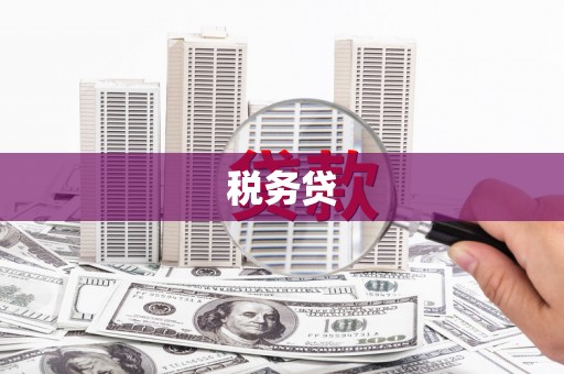 湖西税务贷