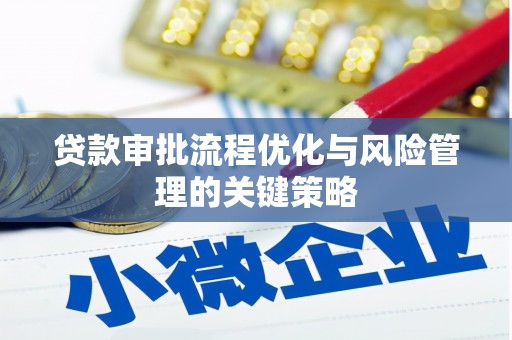 湖西贷款审批流程优化与风险管理的关键策略