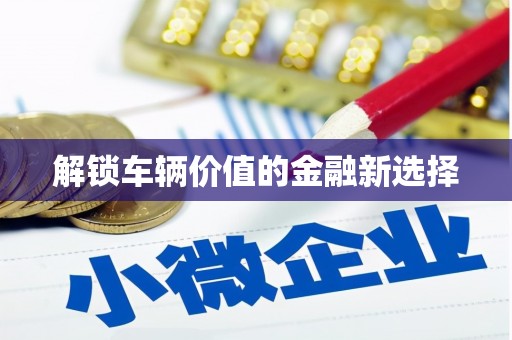 湖西解锁车辆价值的金融新选择