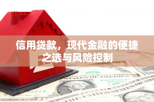 湖西信用贷款，现代金融的便捷之选与风险控制