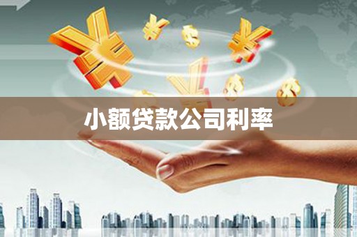 湖西小额贷款公司利率