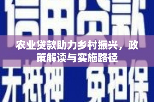 湖西农业贷款助力乡村振兴，政策解读与实施路径
