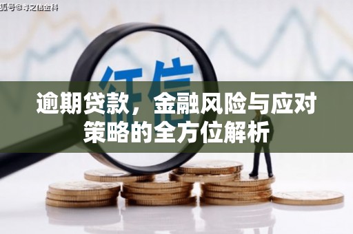 湖西逾期贷款，金融风险与应对策略的全方位解析