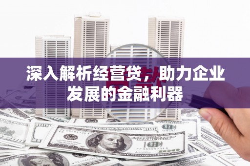 湖西深入解析经营贷，助力企业发展的金融利器