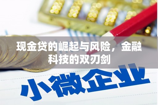湖西现金贷的崛起与风险，金融科技的双刃剑