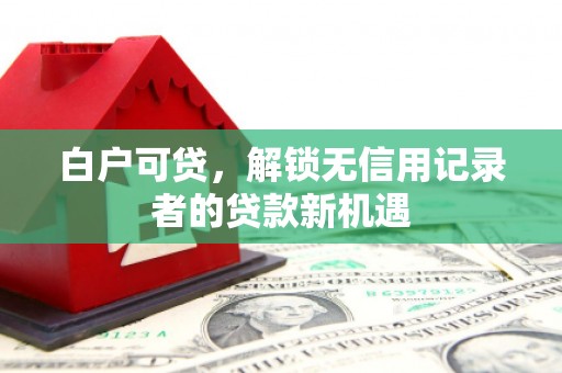 湖西白户可贷，解锁无信用记录者的贷款新机遇