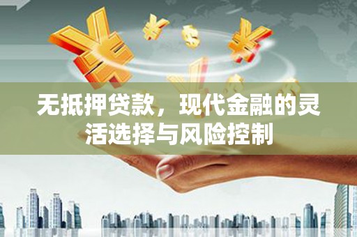 湖西无抵押贷款，现代金融的灵活选择与风险控制