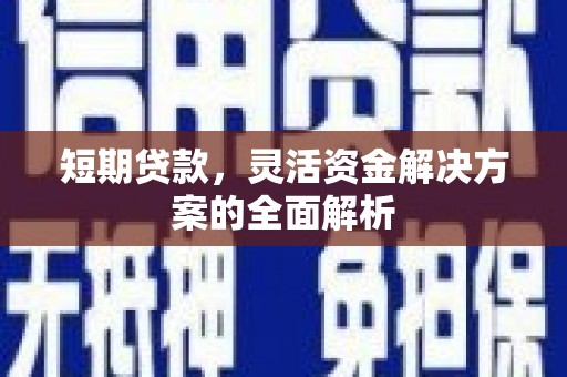 湖西短期贷款，灵活资金解决方案的全面解析