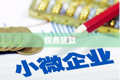 湖西税务贷款