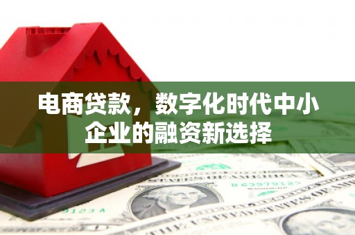 湖西电商贷款，数字化时代中小企业的融资新选择