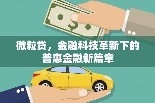 湖西微粒贷，金融科技革新下的普惠金融新篇章