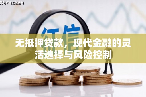 湖西无抵押贷款，现代金融的灵活选择与风险控制
