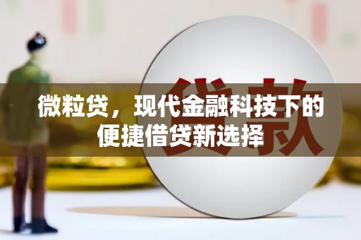 湖西微粒贷，现代金融科技下的便捷借贷新选择