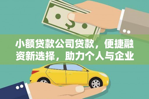 湖西小额贷款公司贷款，便捷融资新选择，助力个人与企业成长