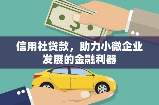 湖西信用社贷款，助力小微企业发展的金融利器