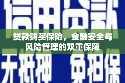 湖西贷款购买保险，金融安全与风险管理的双重保障