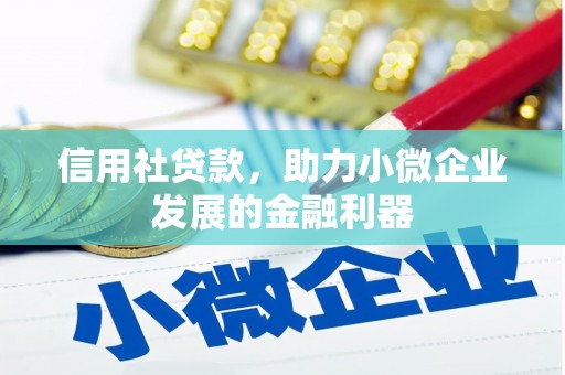 湖西信用社贷款，助力小微企业发展的金融利器