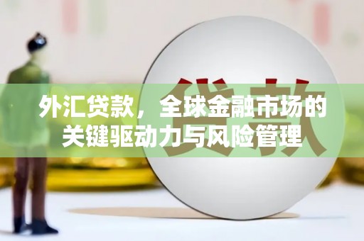 湖西外汇贷款，全球金融市场的关键驱动力与风险管理