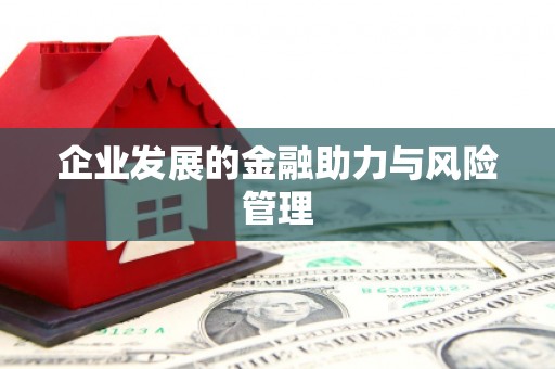 湖西企业发展的金融助力与风险管理