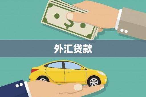 湖西外汇贷款